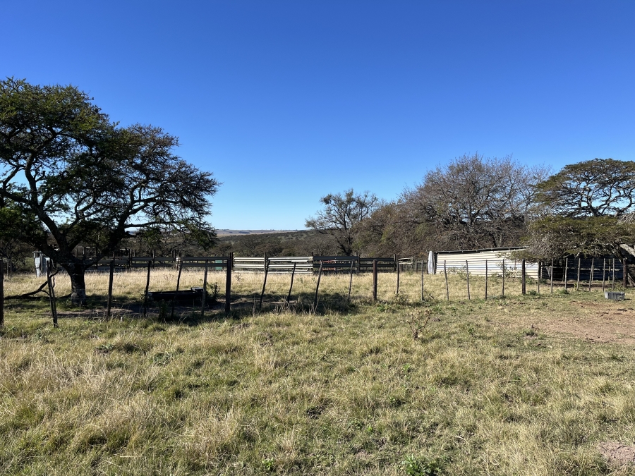 0 Bedroom Property for Sale in Stutterheim Rural Eastern Cape